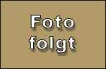 Sport Polo Krawalldackl-Edition Damen